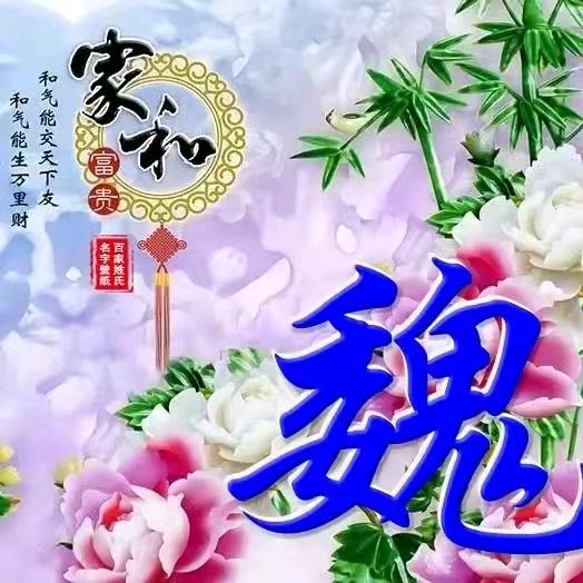 四海钓鱼
