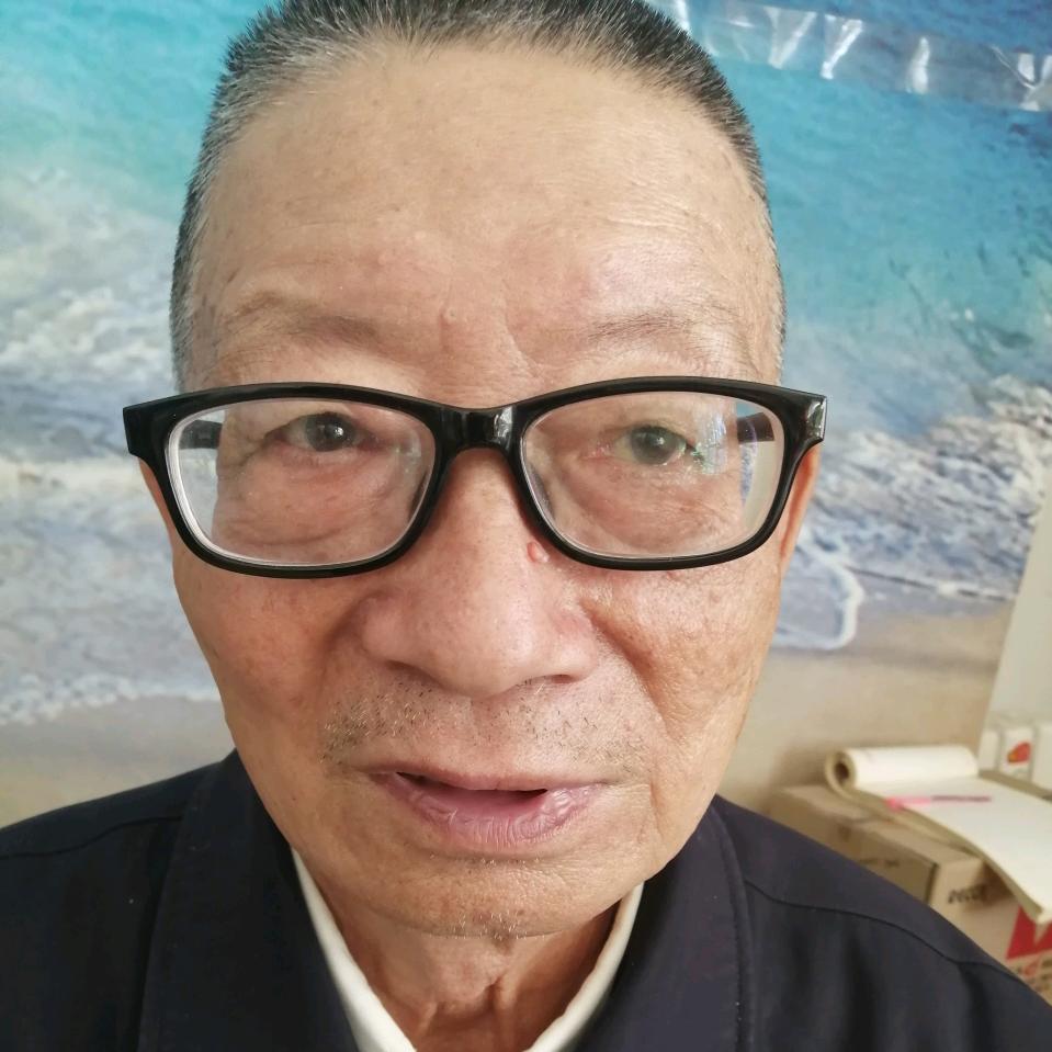 老头他爸张振远