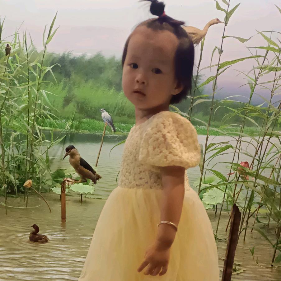 朵朵