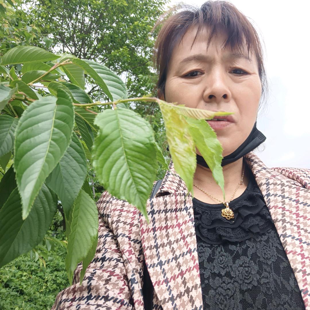 7.:/ 复制此链接，打开抖音，有惊喜等