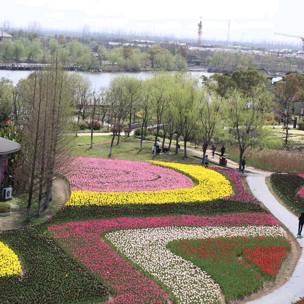 如玉儿(欢迎您的关注)👏