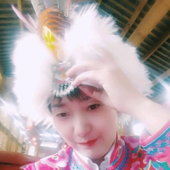 照照