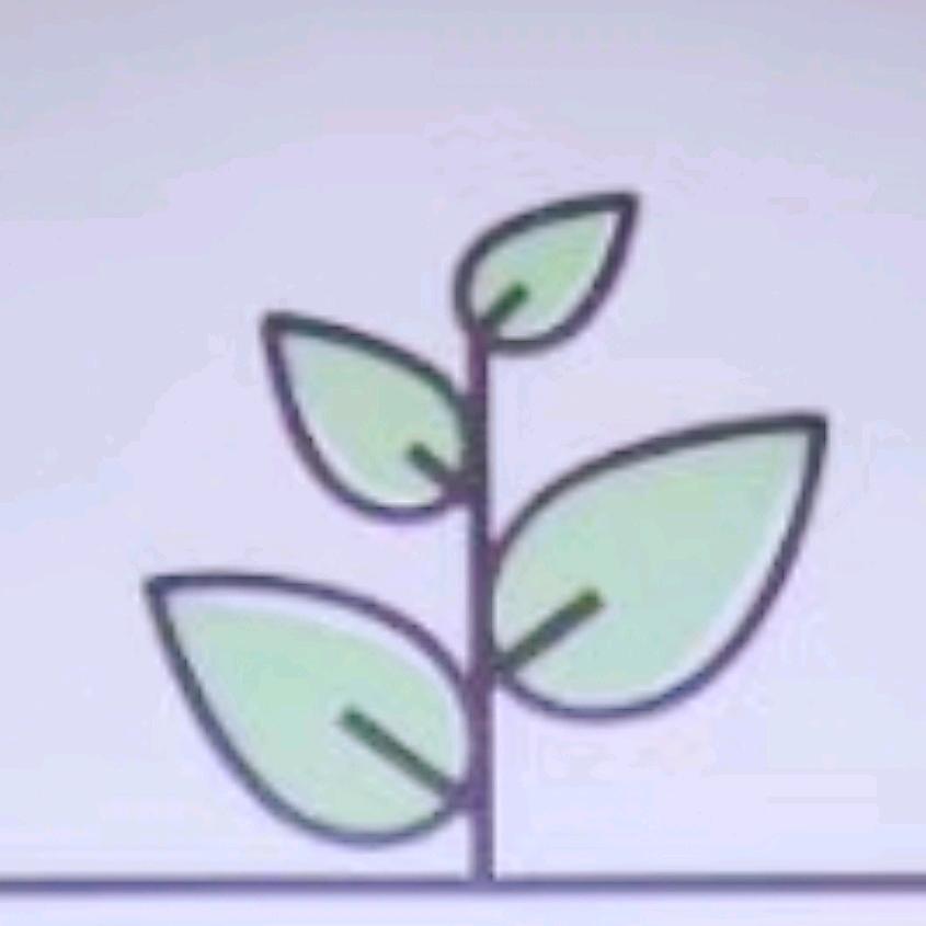 绘声绘色艺术学校