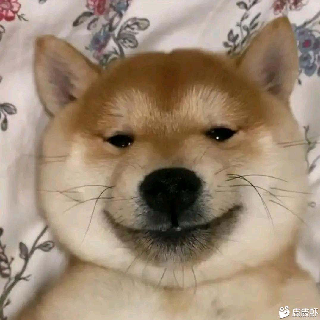 咲