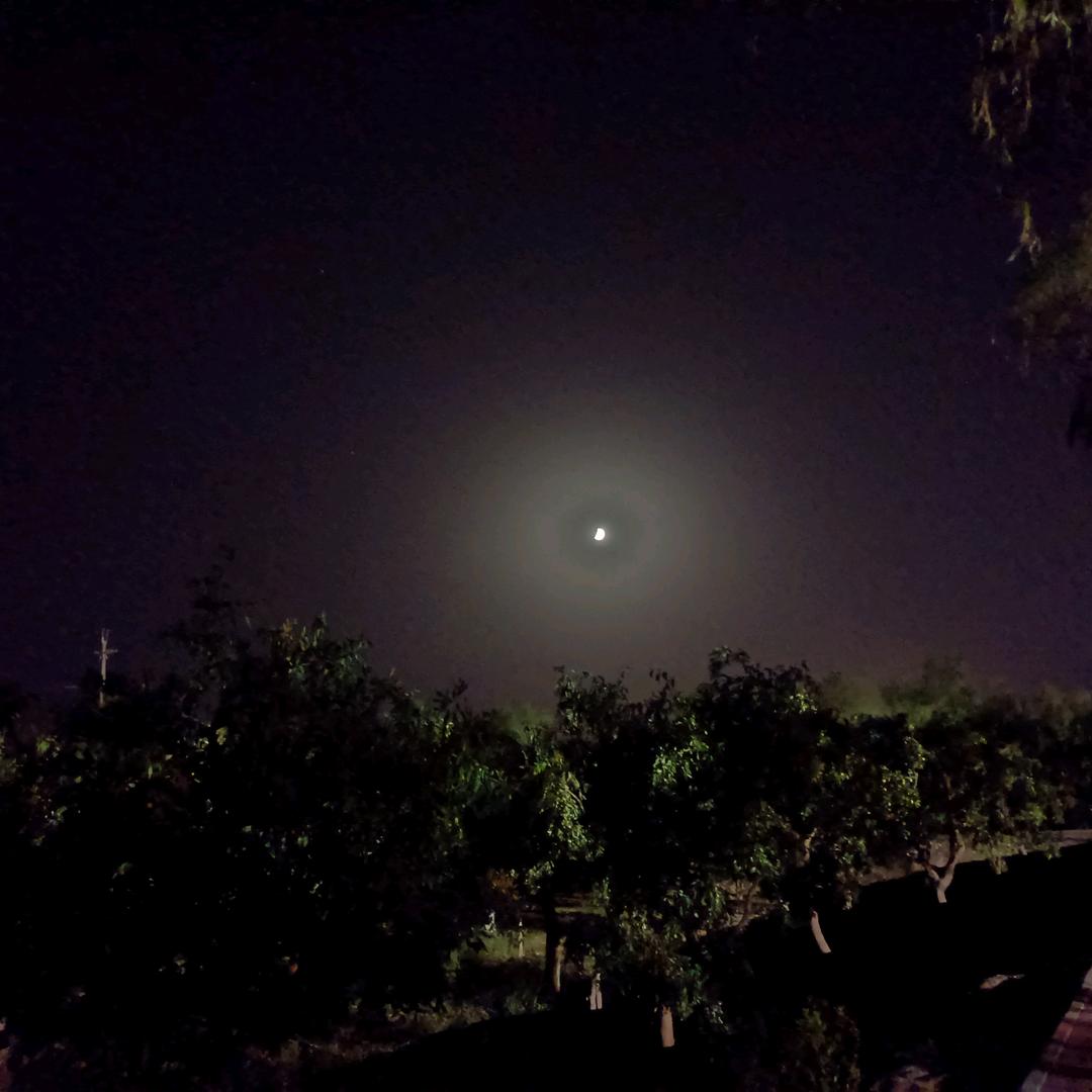 丁丁