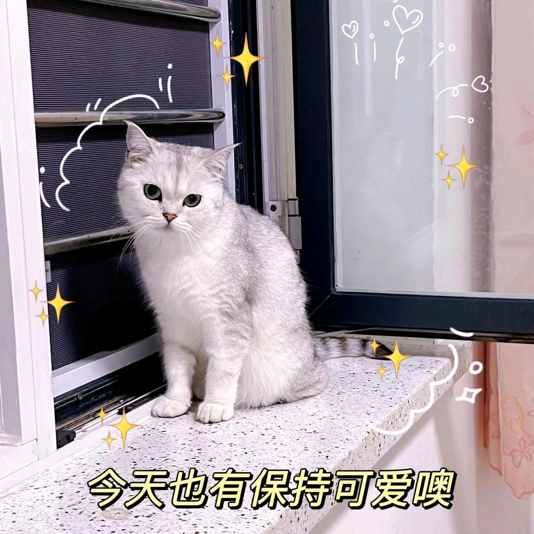 暴躁的火猴
