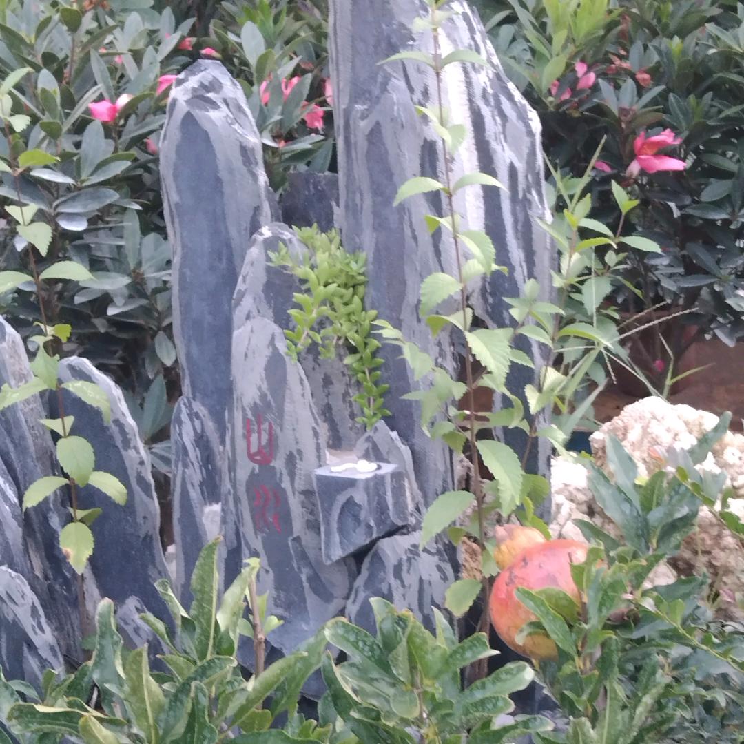 我是一个温柔体贴善良的女孩子