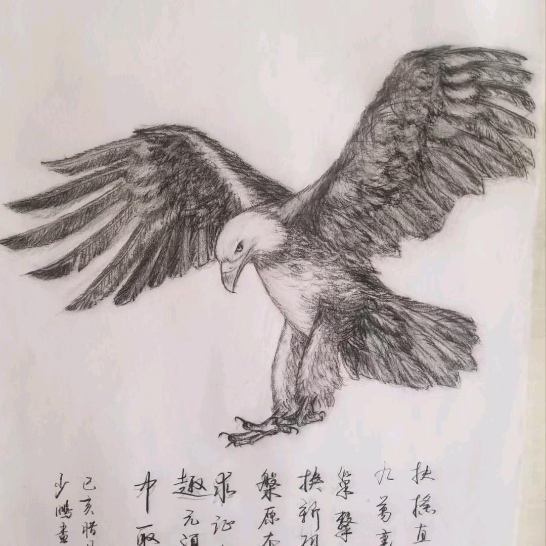 老蒋东北菜
