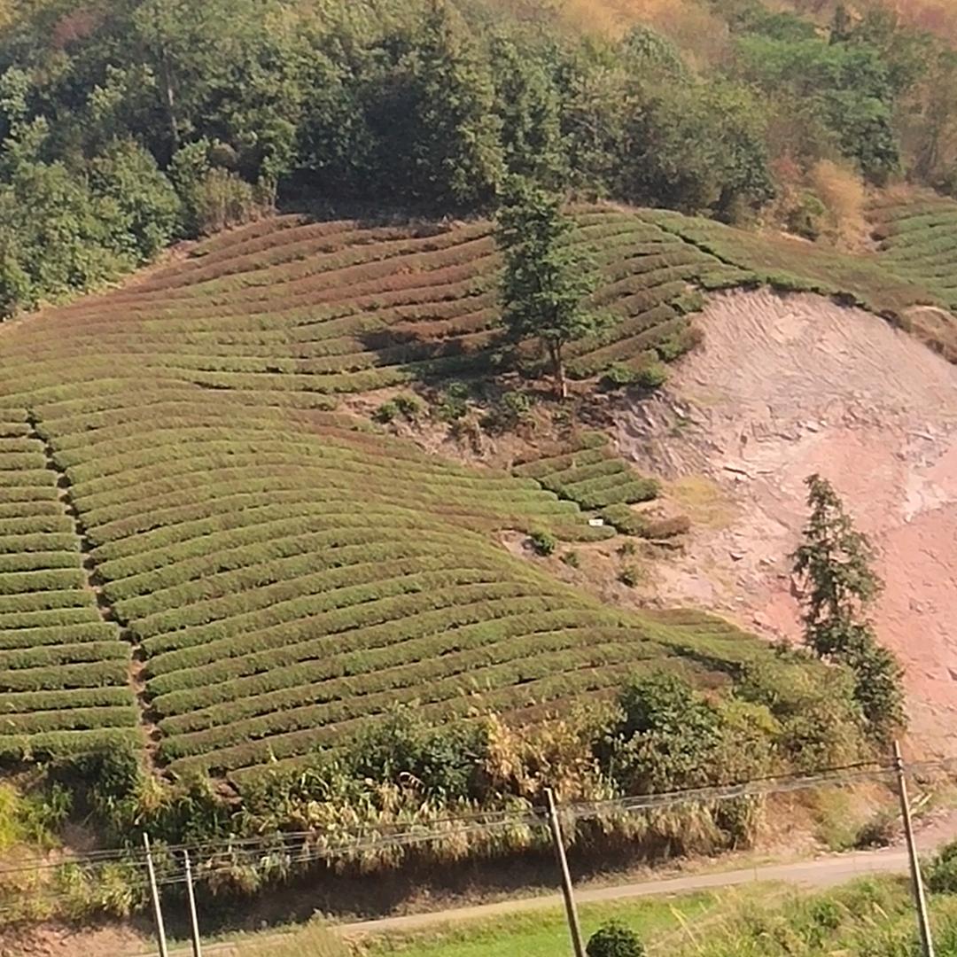 福建铺