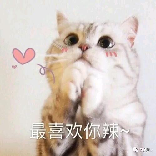 Merry。