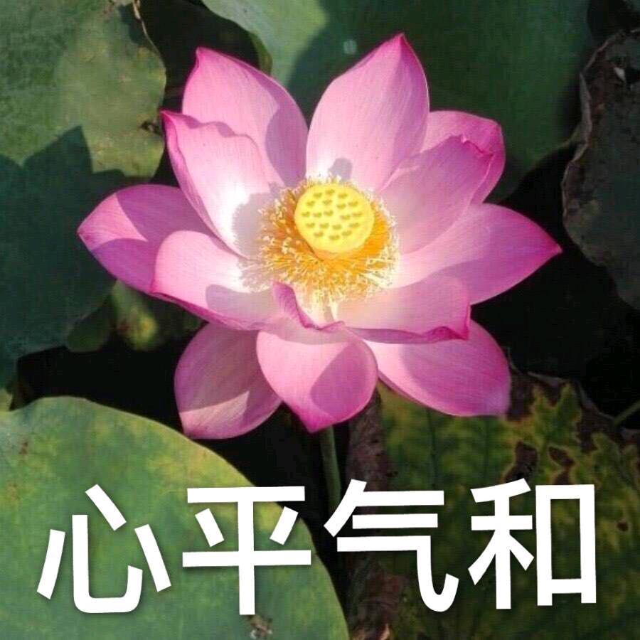 陈某人