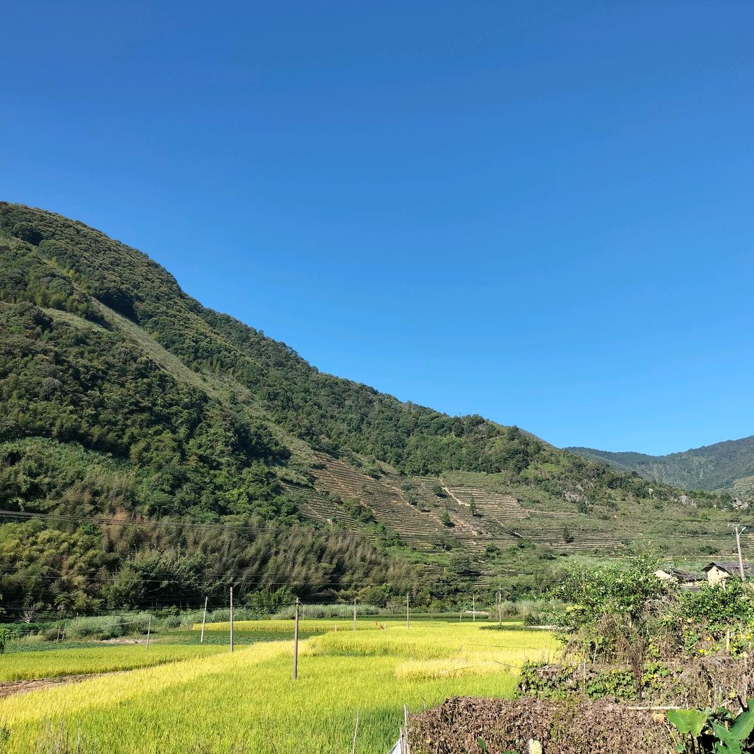 身在当下