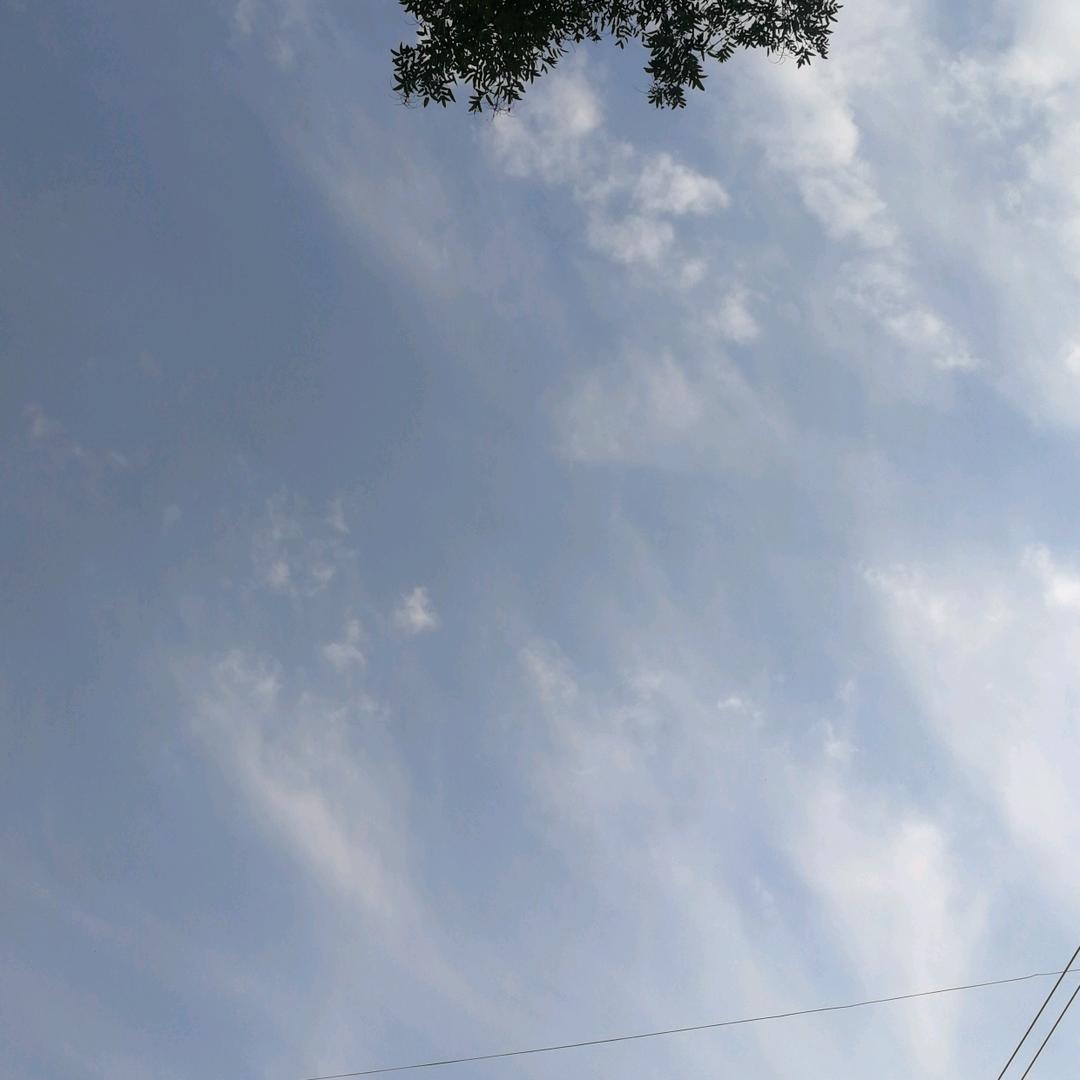 梦轩玖