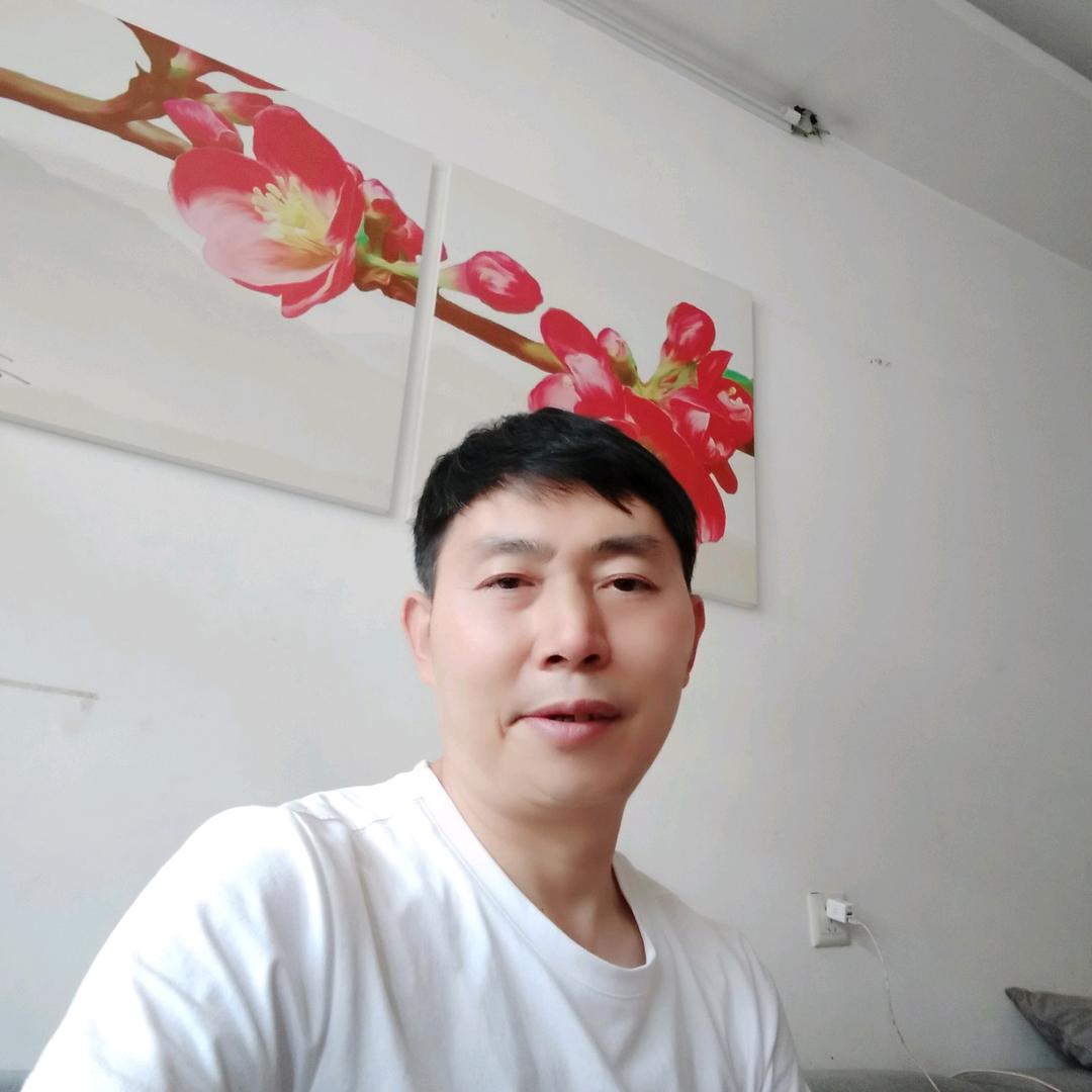 杨大哥