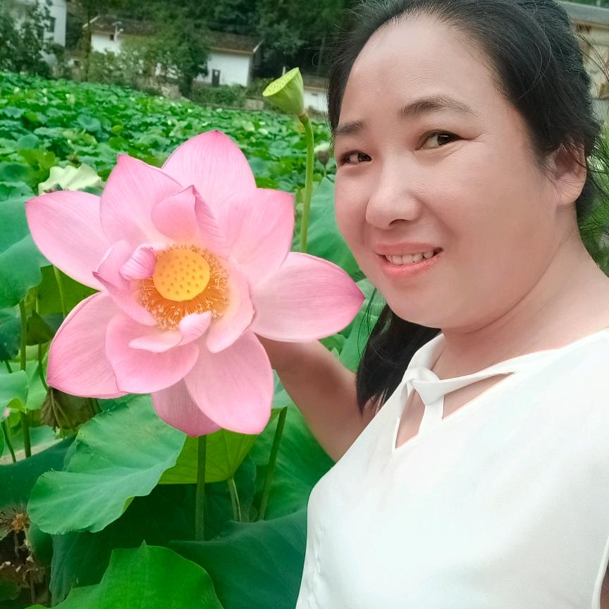 七九年的小🐑绵羊