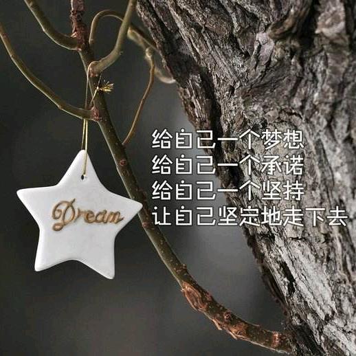 哲龙