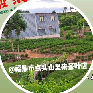 福鼎市点头山里来茶叶店的小店个体店