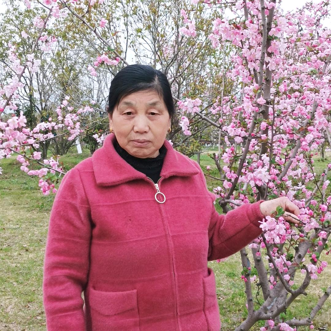 开心