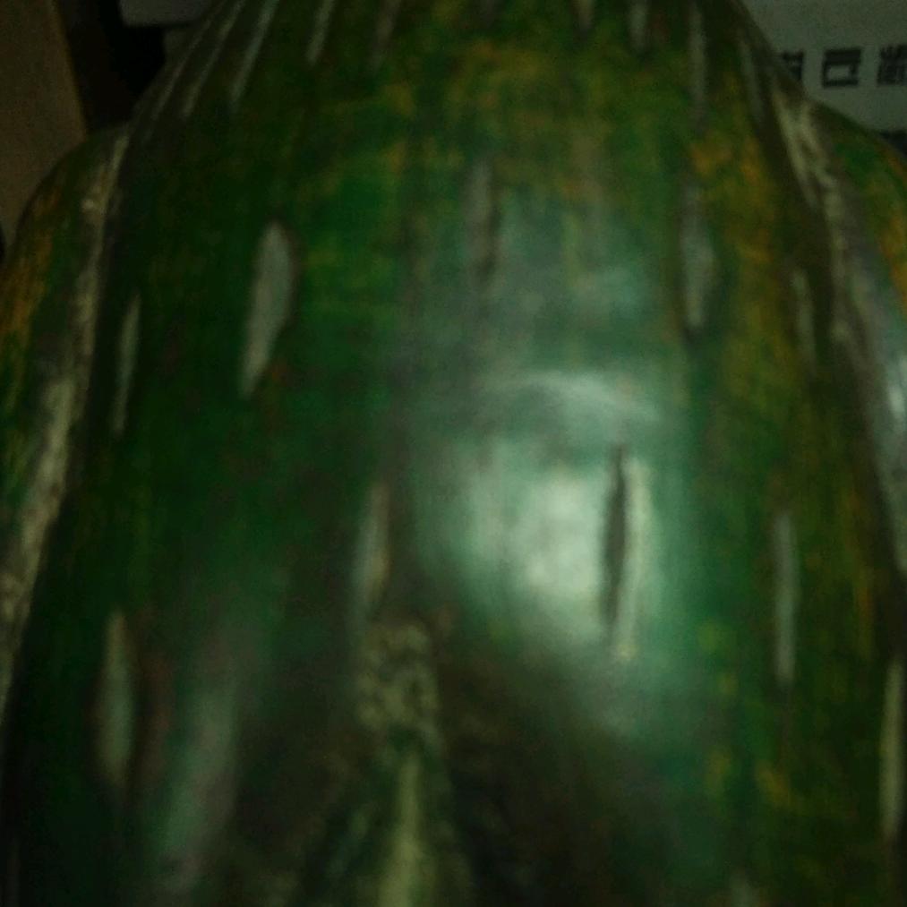 自由鸟(品香识木)
