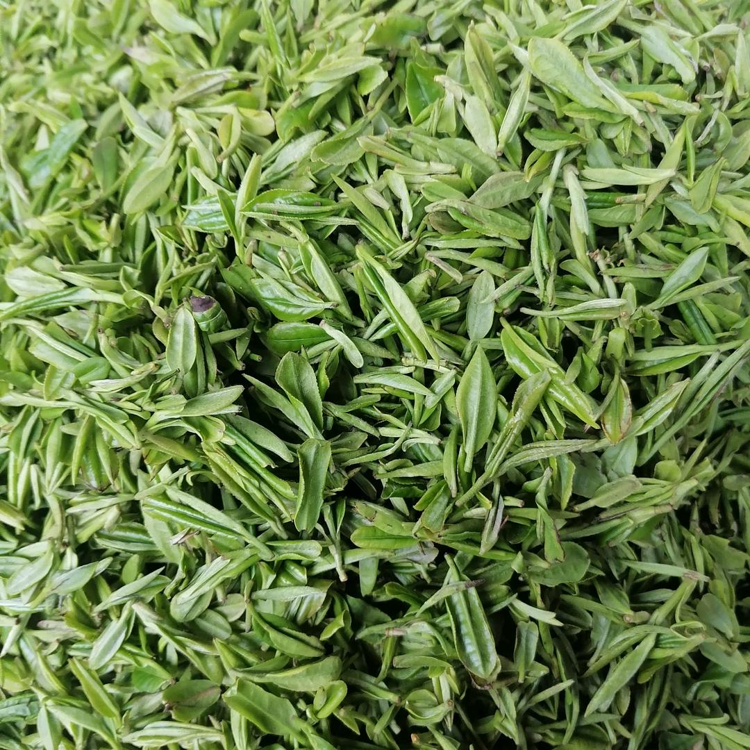 雲雾茶，手工毛尖，玉叶。