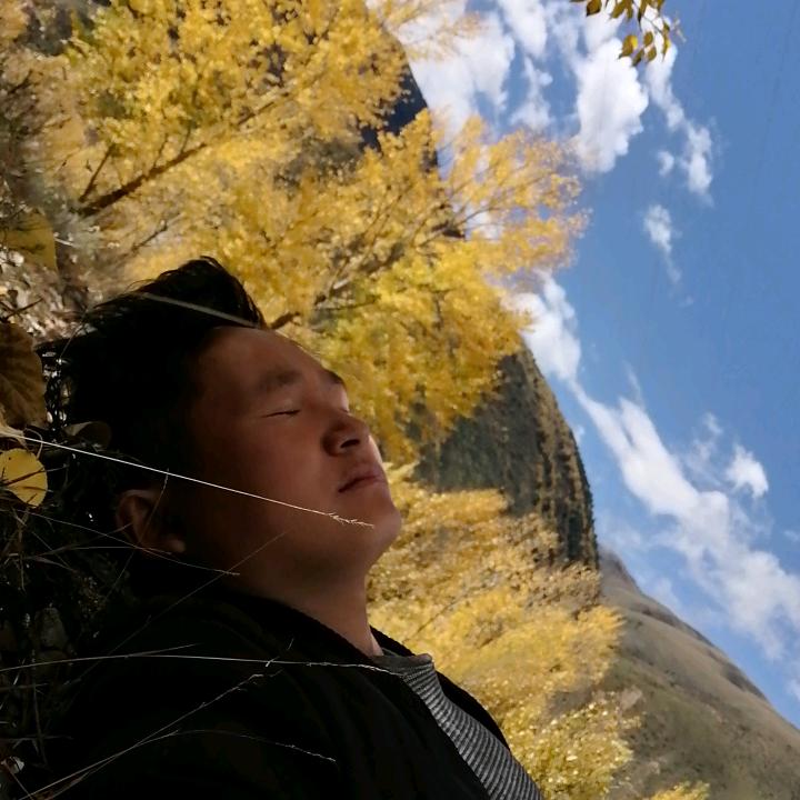 张二虎