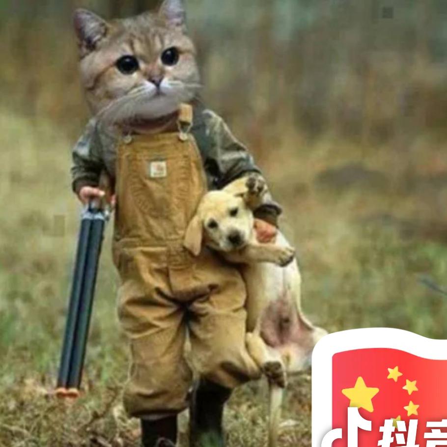 ღꪶꪫꪜꫀ黑白