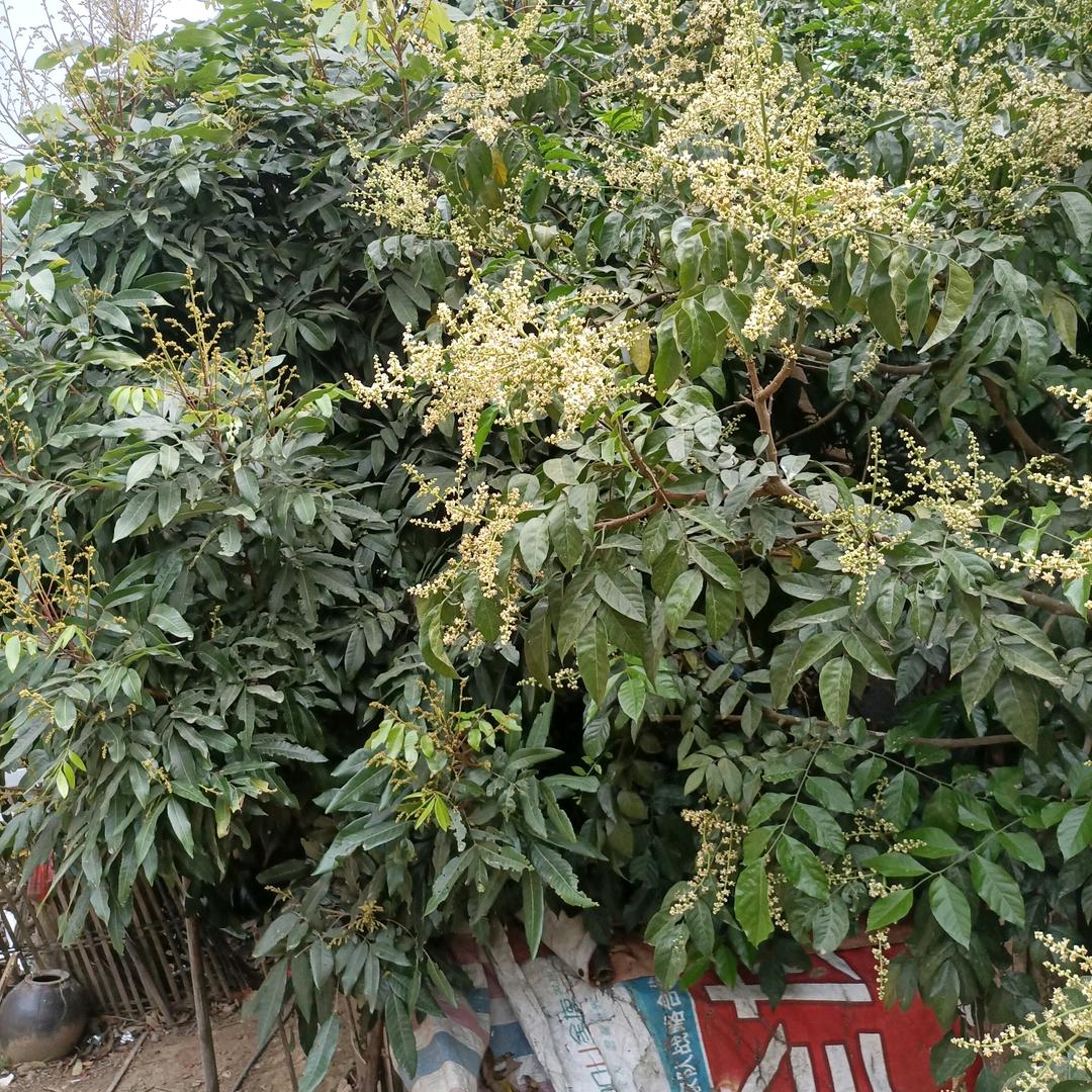 一生命安排