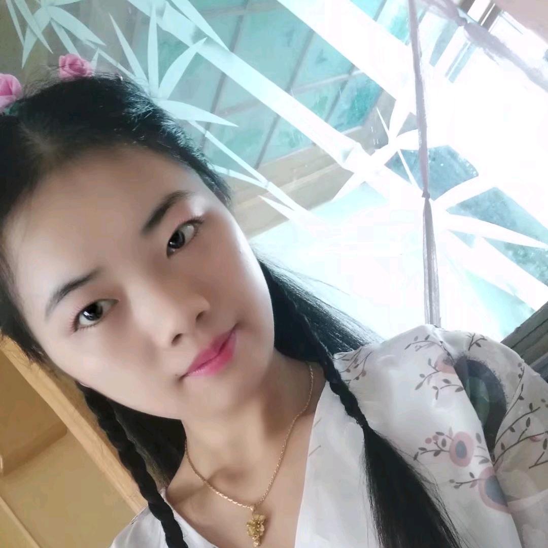 雪中的梅花。邓梅