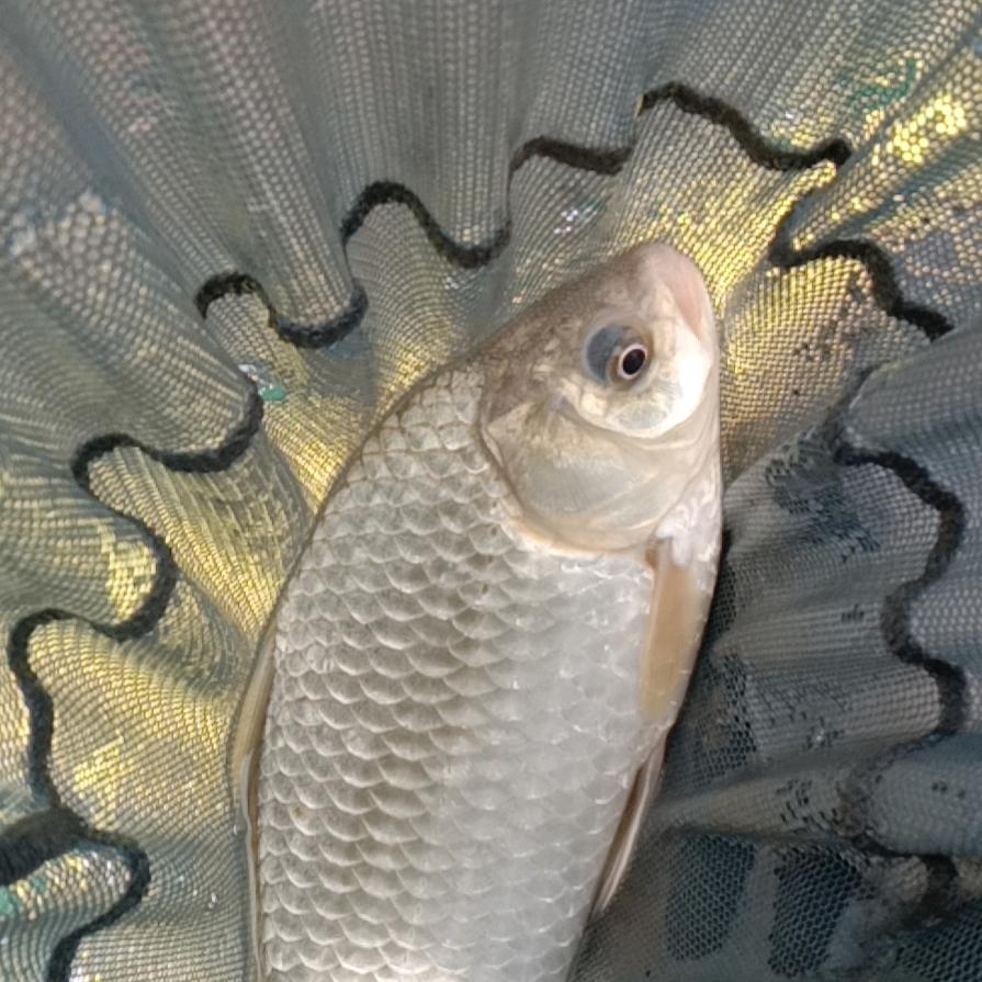 我心永恒