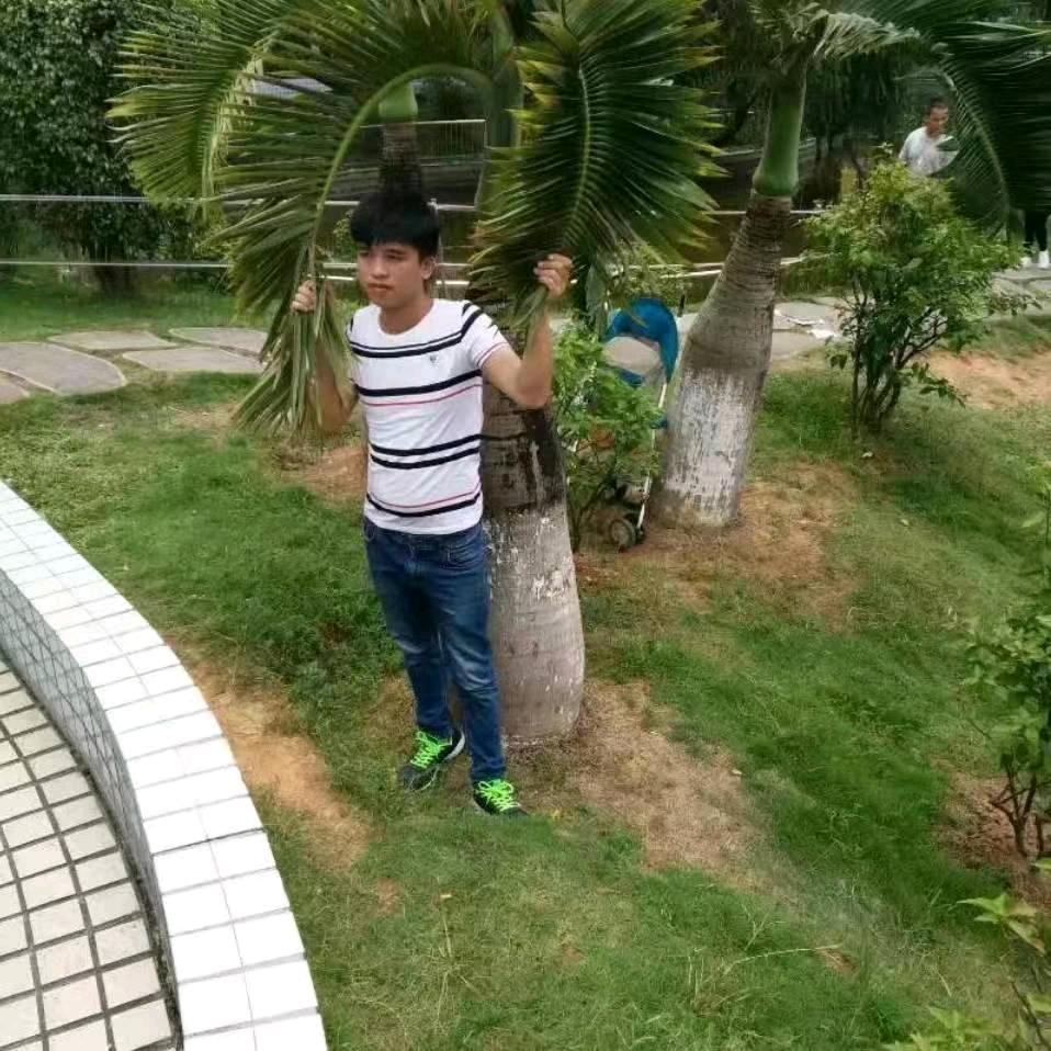 从零开始的生活