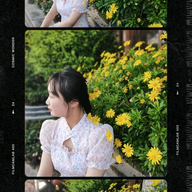 四川宜宾柳加人