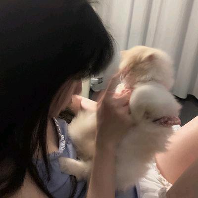 旧