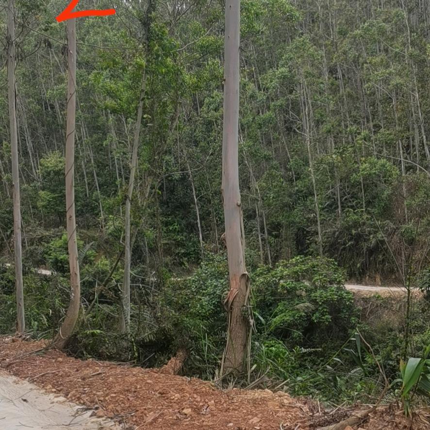 潇洒