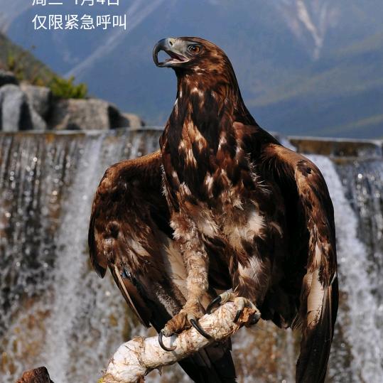 用户8763832352327