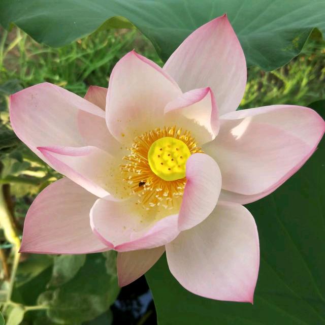 家装水电医生