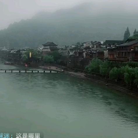 织带大全