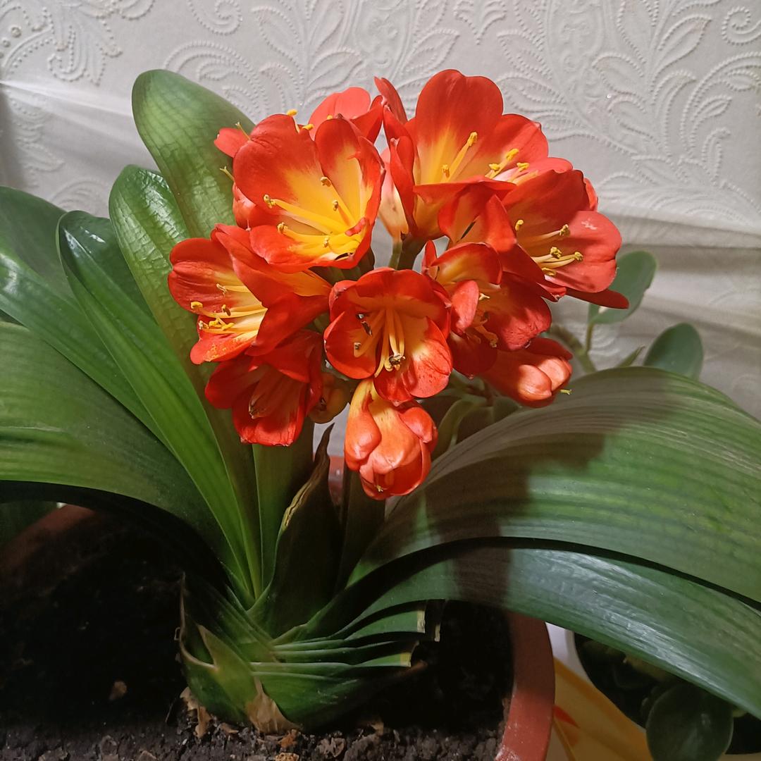 民和永翔房产小李