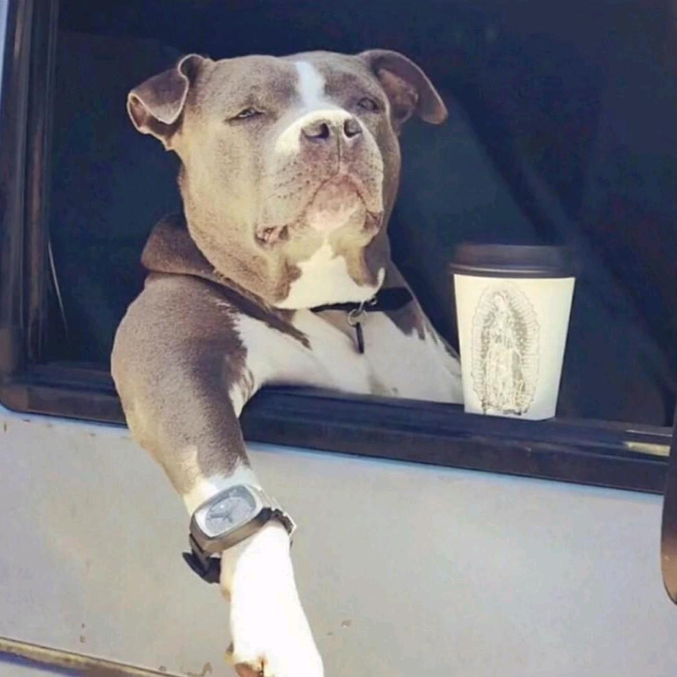 🔆略略略略～～