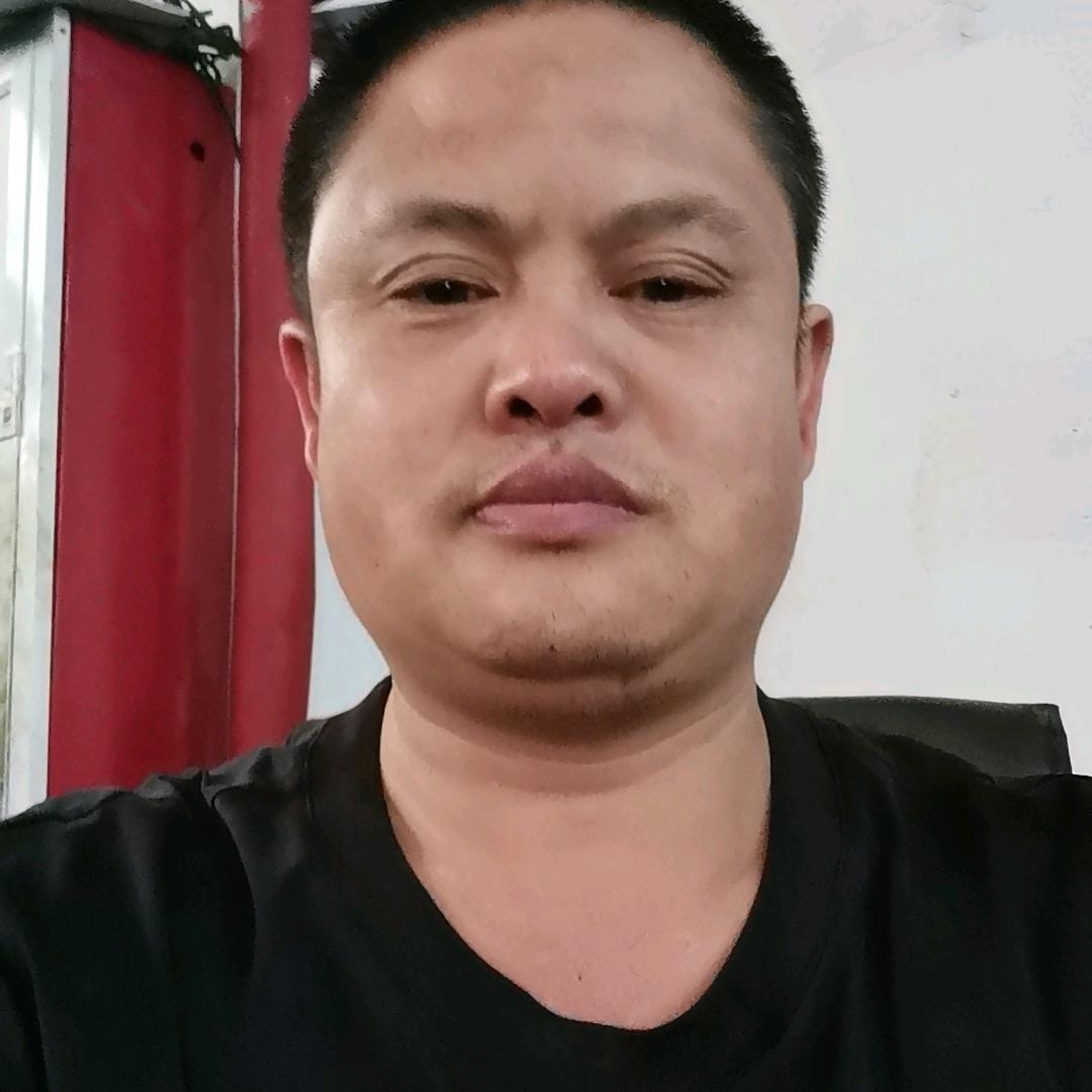 追云苍雁