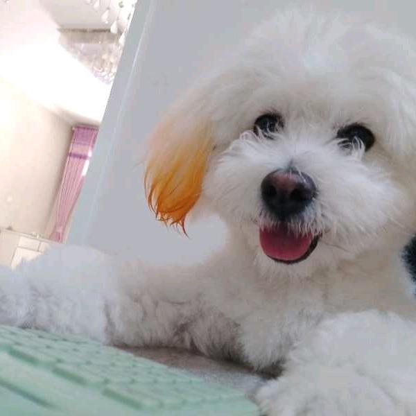 黄河横城休闲垂钓小穆