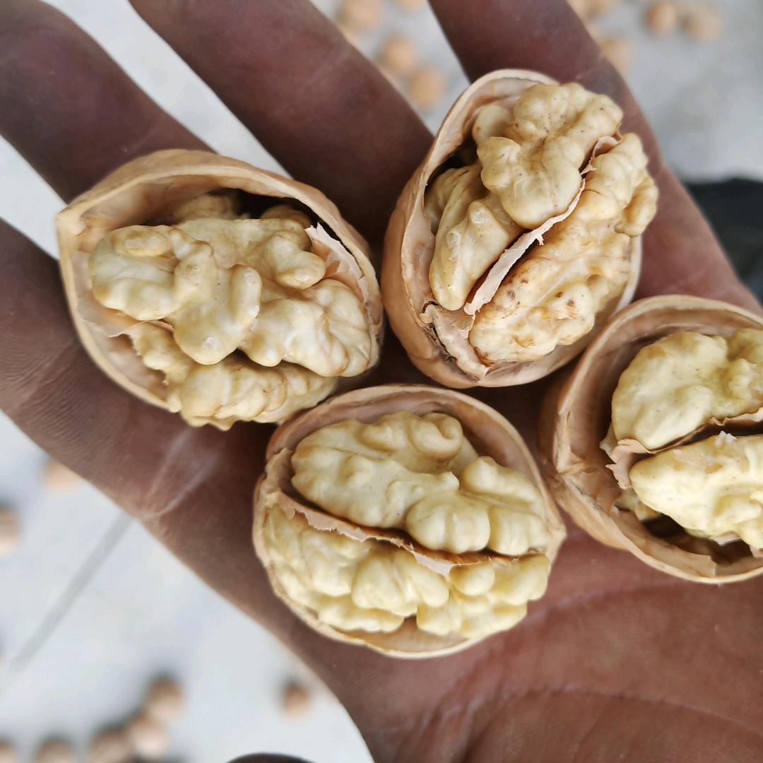优益新疆特产