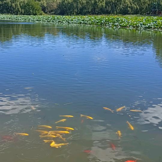随缘而来