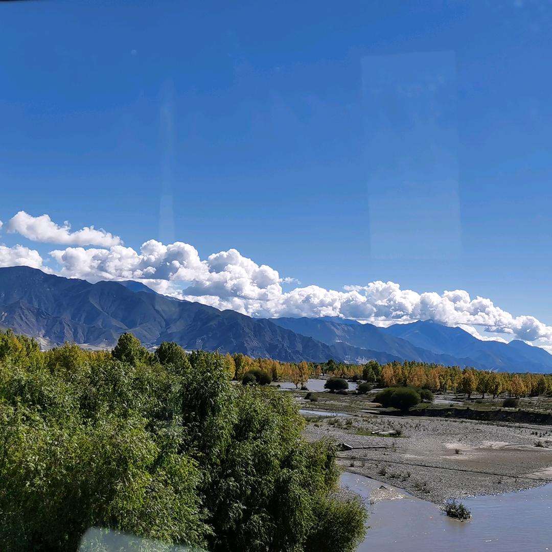 中农植业助理号