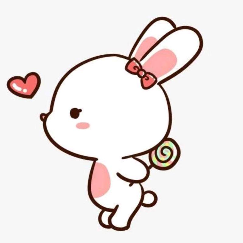 奔跑的兔子🐰