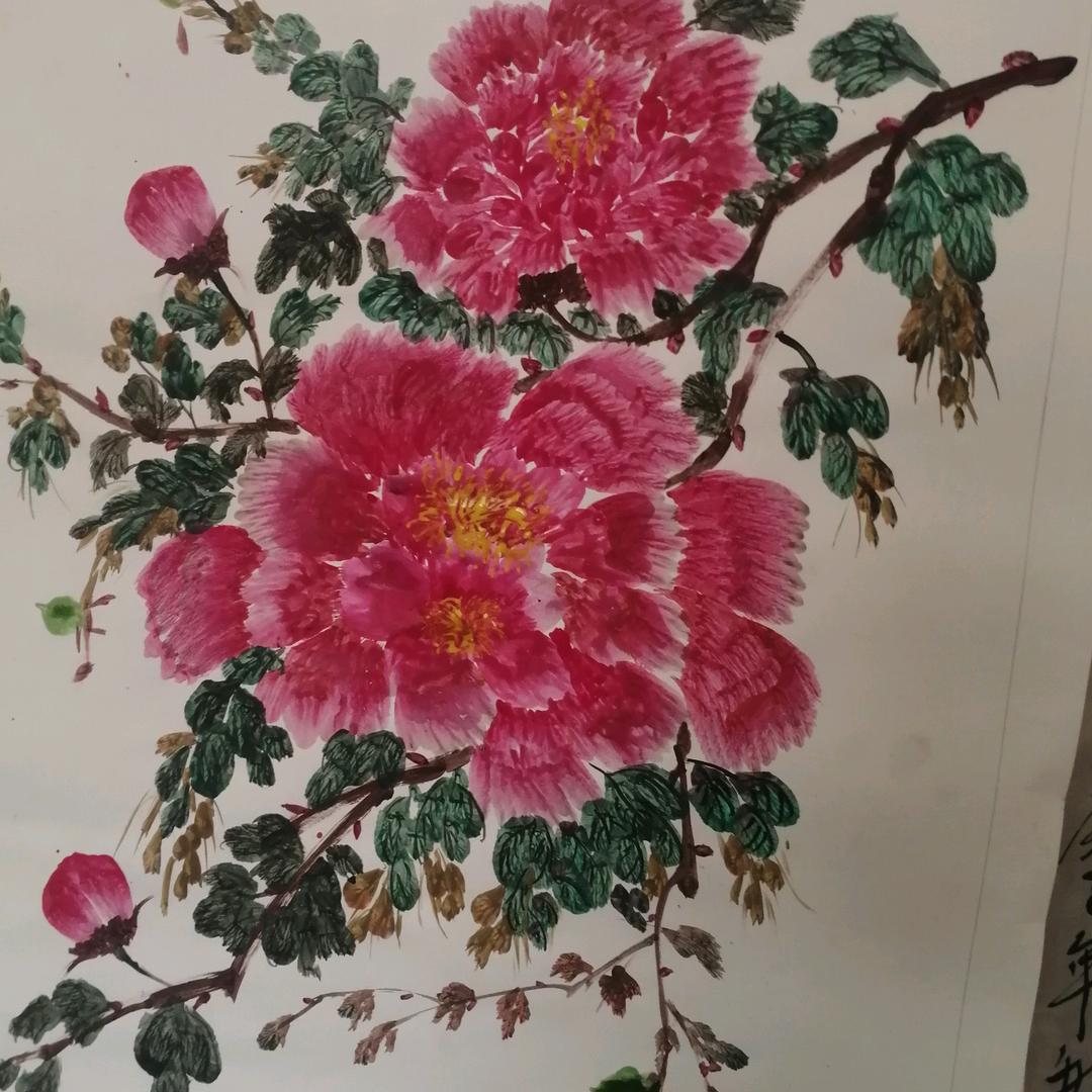 龙飞风舞～凍明亮