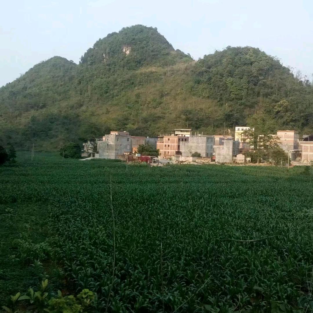 一网情深