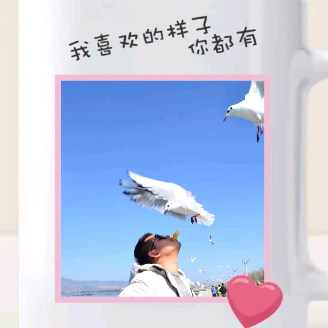 麦田里的守望者𖠚 ˎˊ-』.ʚ