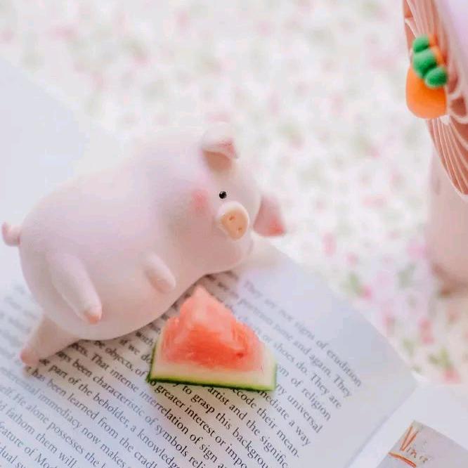 等疯的猪🐷