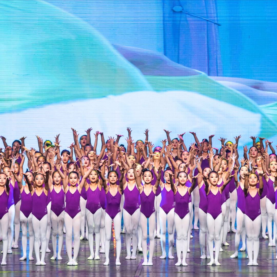 大连市西岗区丽笙舞苑文化艺术培训学校有限公司