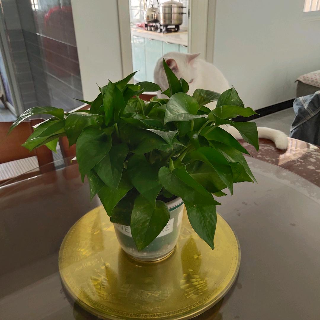 人生下半生比的是心态